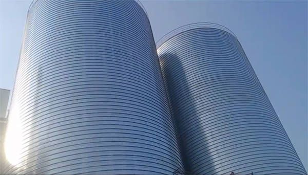 提蒙乡2座混凝土高架卷板仓